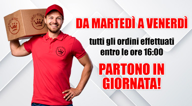Spedizioni corrieri entro le 16